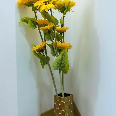 Checkbelgradeapartment- Center Apartamento *