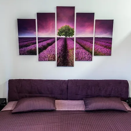 Checkbelgradeapartment- Center Lejlighed Beograd